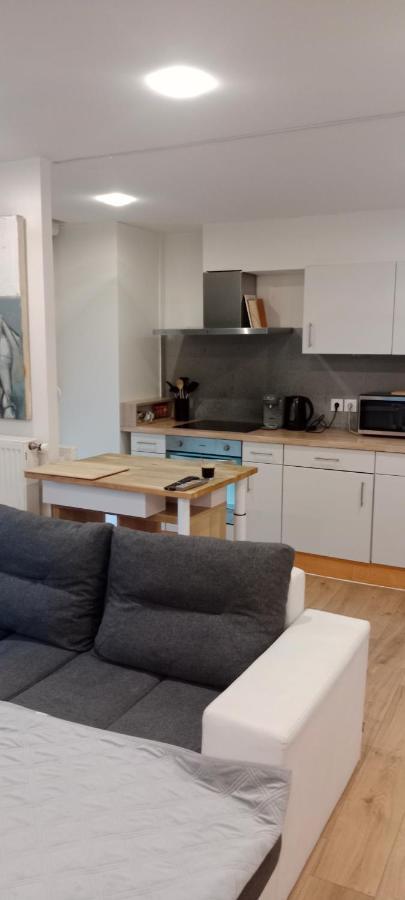 Tres Bel Appartement Rez De Jardin Appart De 53M2. Pfastatt Exterior photo
